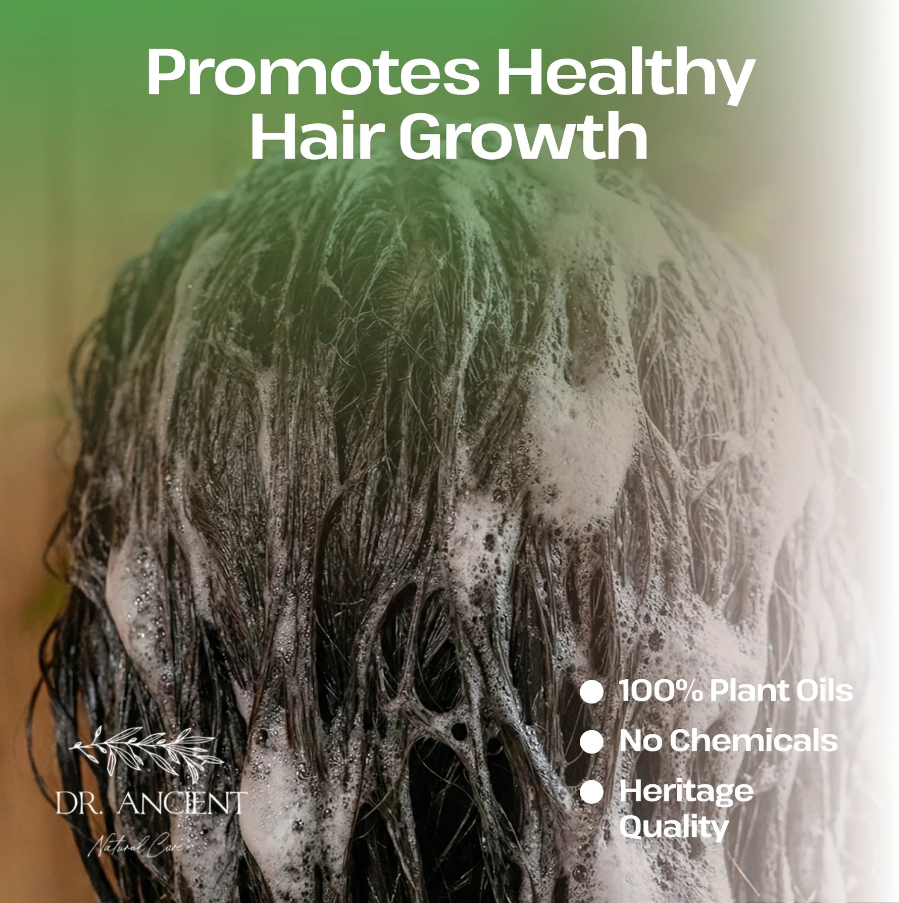 Promotional graphic for a hair care product showing wet, foamy dark hair with the text 'Promotes Healthy Hair Growth' and bullet points about plant oils and no chemicals. Brand name Dr.