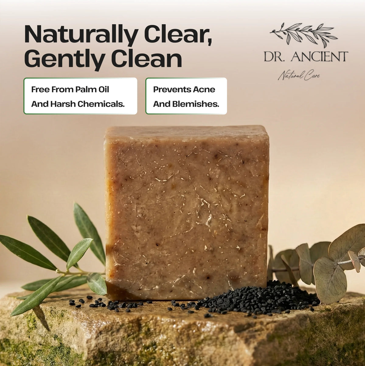 A rectangular bar of Dr. Ancient Natural Care soap in a warm brownish-beige tone, displayed on a stone surface with olive leaves and black seeds.