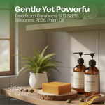 Bathroom setting with shampoo and conditioner bottles, soap, and a plant on a wooden shelf.